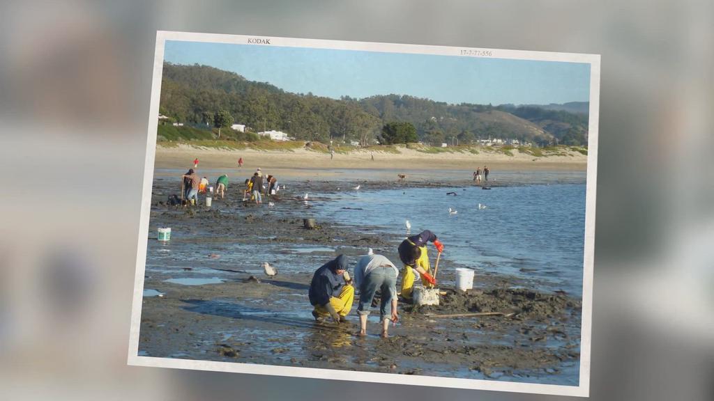 'Video thumbnail for Clamming in Bodega Bay: The Complete Guide'