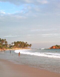 Mirrissa beach Sri Lanka