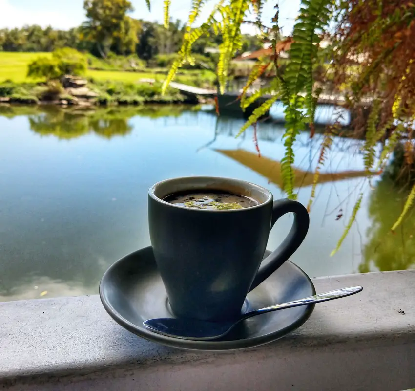 best coffee in Port Douglas