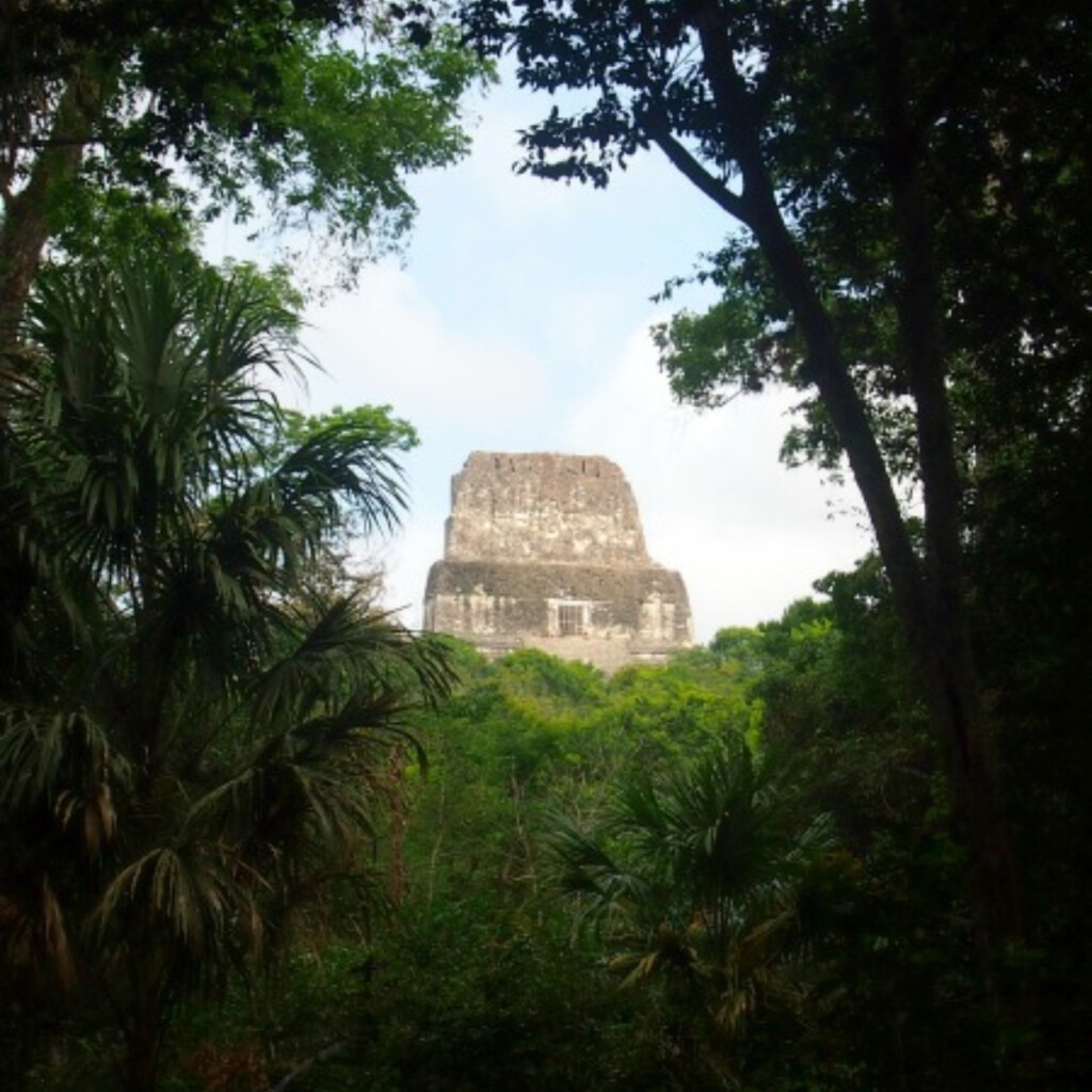 Buitiful Ruins at Tikal