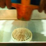 Idiyappam Flour