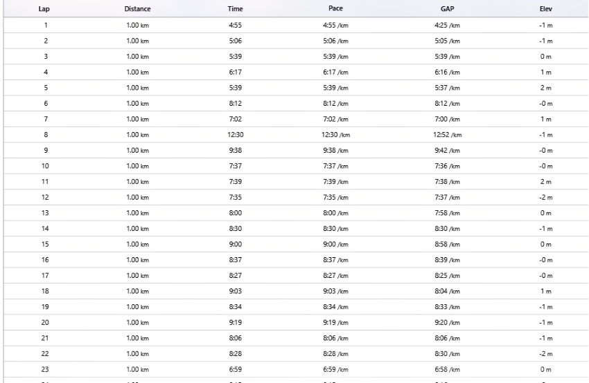 Run chart Ironman malaysia 2018