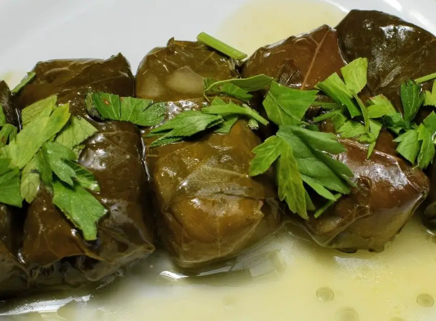 Dolmades Stuffed Vine Leaves What To Eat in Greece