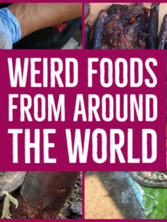 Weird Food from around the world