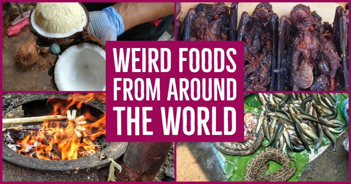 Weird Food from around the world