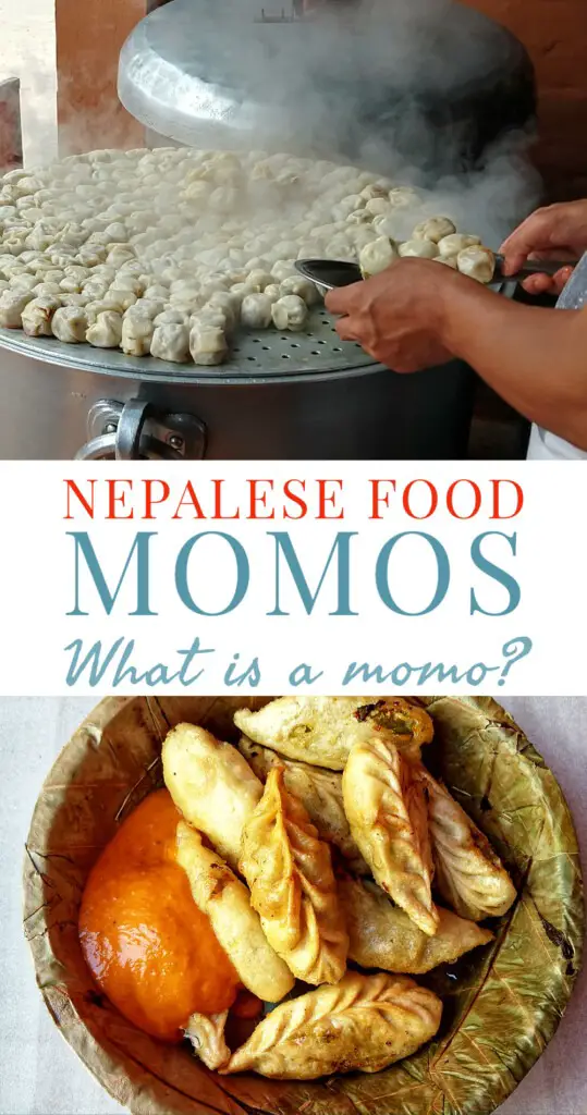 Nepalese food mo mo momo