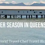 Stinger Season in Queensland Stinger season in Queensland Australia