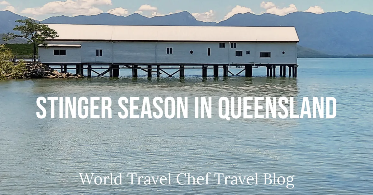 Stinger season in Queensland Australia