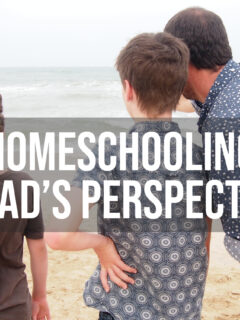homeschool dad blog homeschool dad