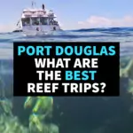 What Are The Best Reef Trips From Port Douglas? What are the best reef trips from Port Douglas