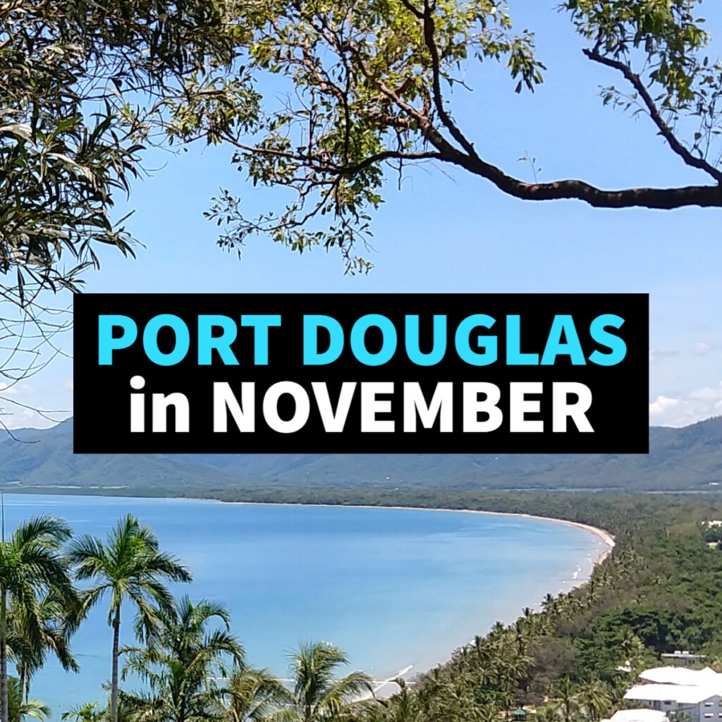 Port Douglas November Holiday