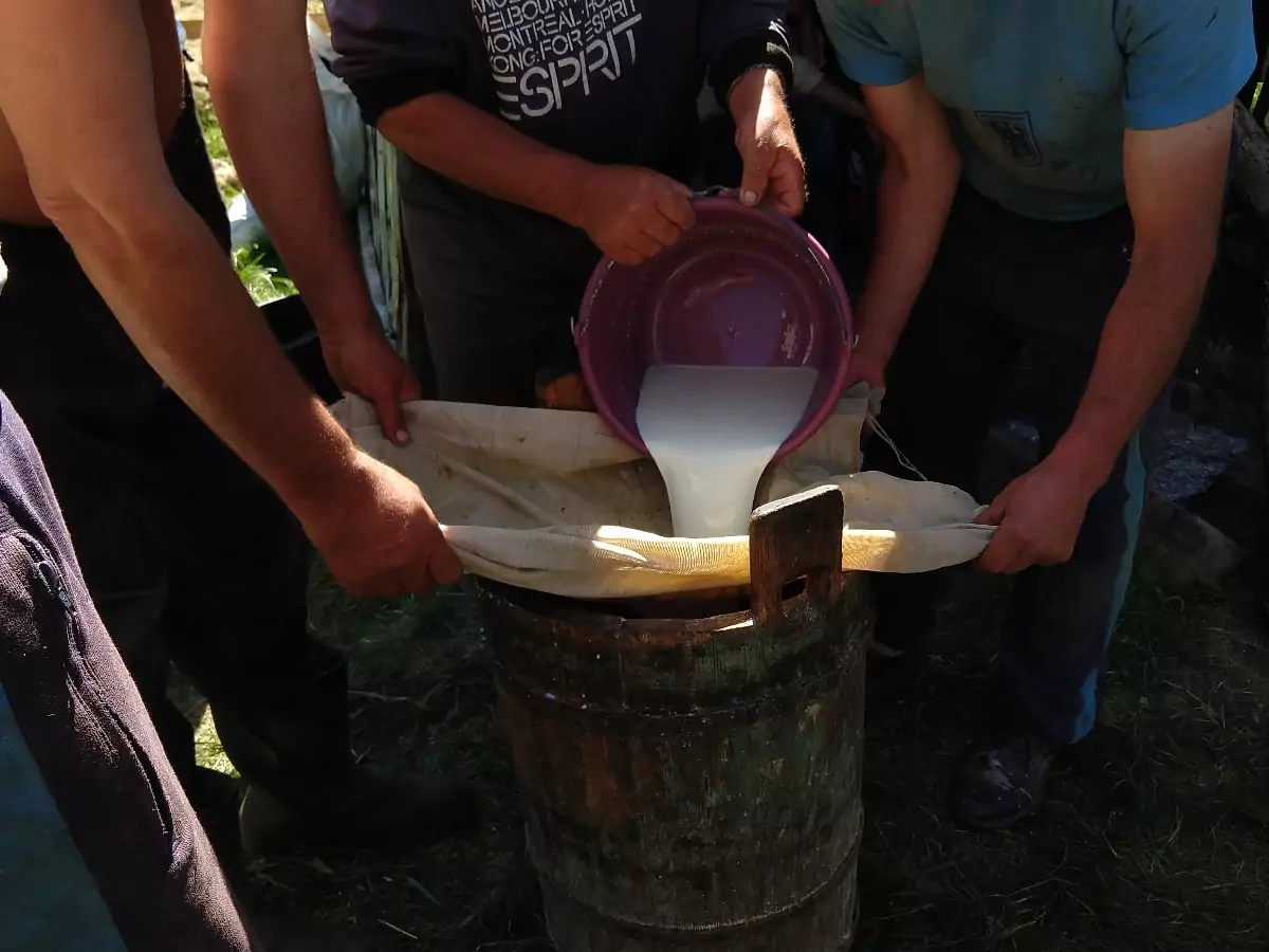Making sheep milk cheese Romania