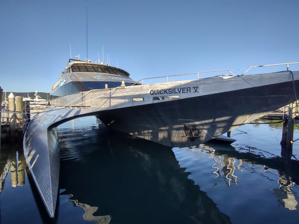 Scuba diving boat Quicksilver