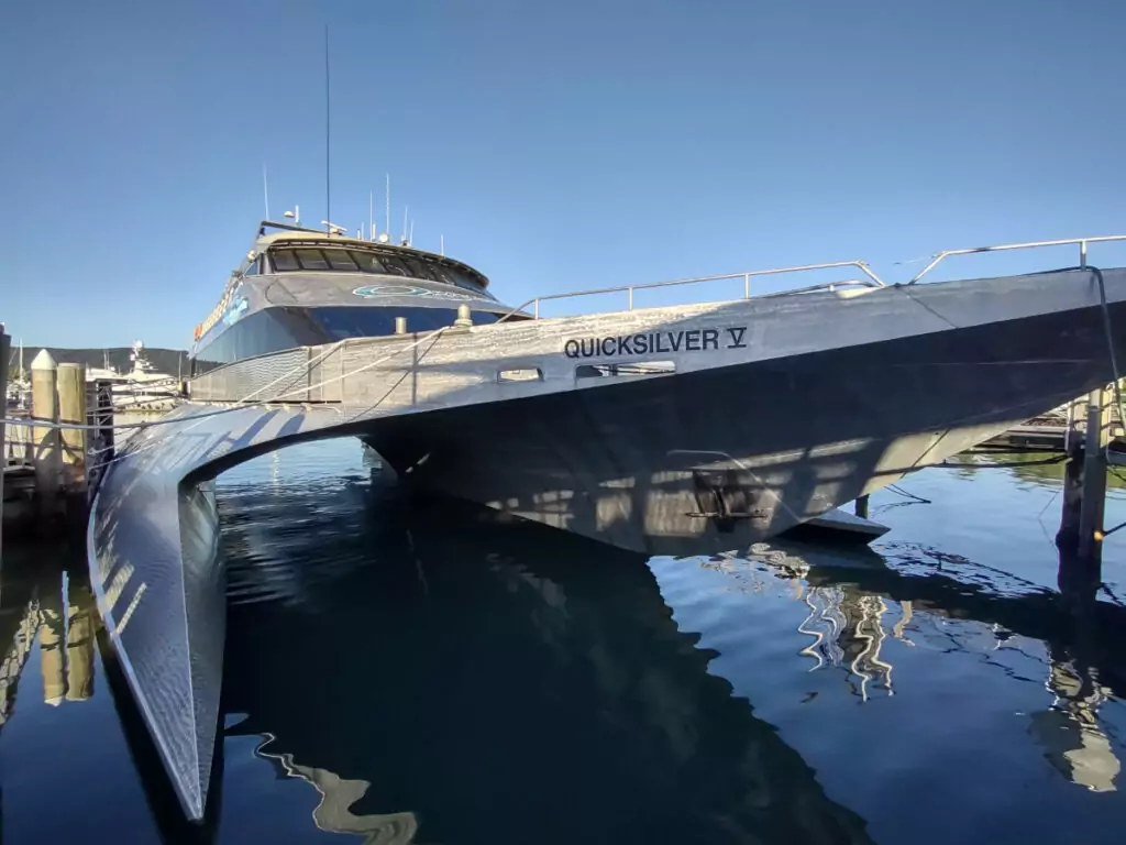 Scuba diving boat Quicksilver