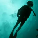 Scuba Diving in Port Douglas Scuba Diving Port Douglas